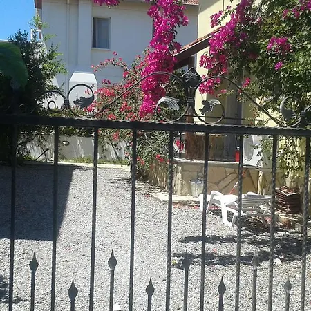 Villa Lemon Growe *